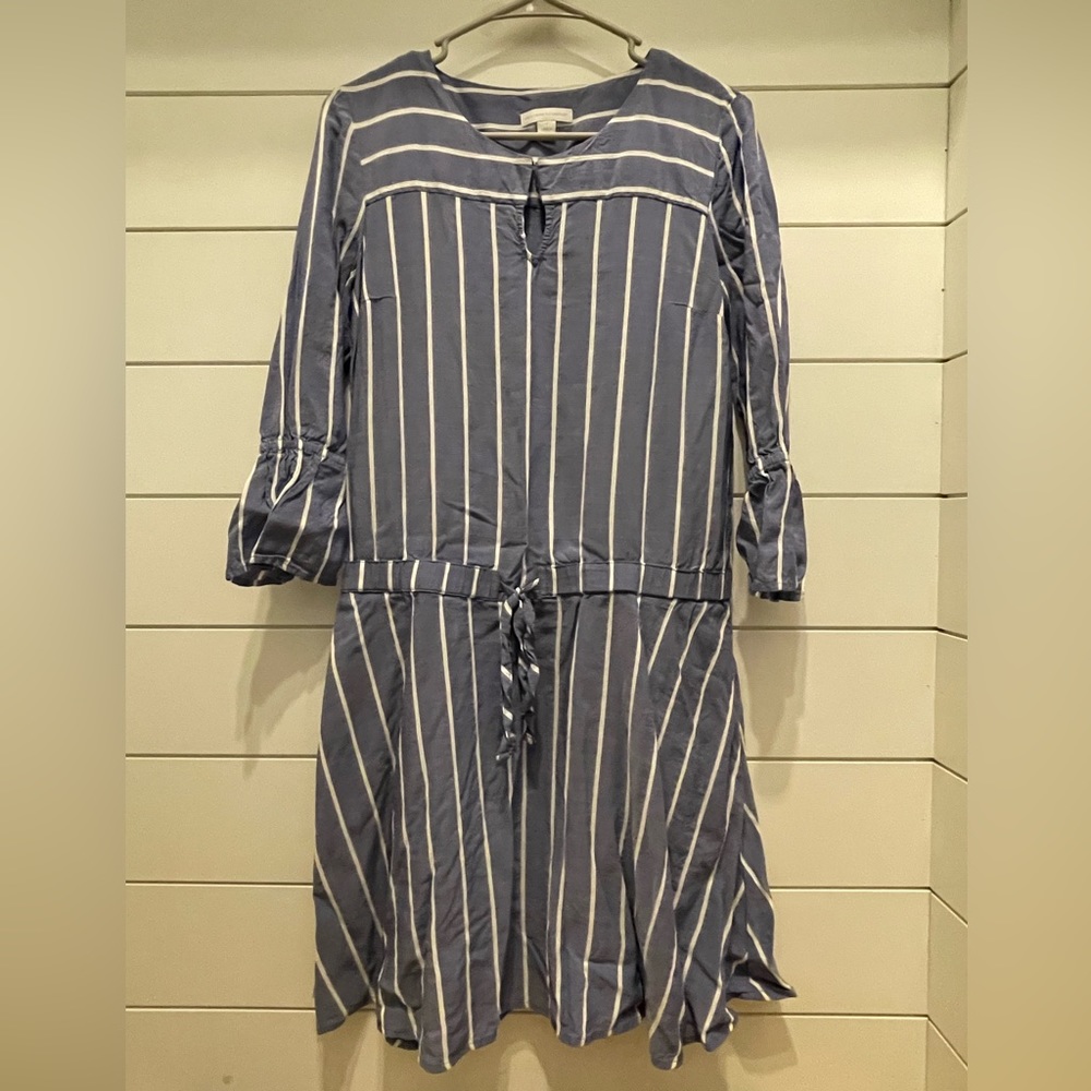Blue with White Stripe New York & Company Dress Size Small